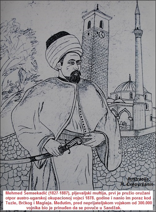 Mehmed Šemsekadić, pljevaljski muftija (1827-1887), prvi je pružio oružani otpor austrougarskoj okupacionoj vojsci 1878.