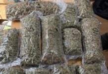 Zaplijenjeno 10,5 kg marihuane u Novom Pazaru, uhapšen mladić iz Inđije